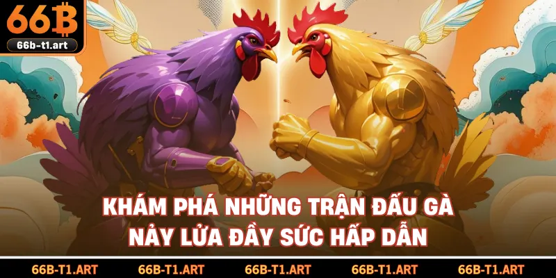 Khám Phá Những Trận Đấu Gà Nảy Lửa Đầy Sức Hấp Dẫn