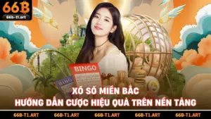 Xổ Số Miền Bắc - Hướng Dẫn Cược Hiệu Quả Trên Nền Tảng